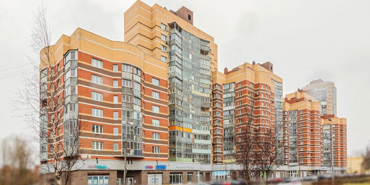 фасад дома, здание по адресу г Санкт-Петербург, Дунайский пр-кт, д 31 к 1